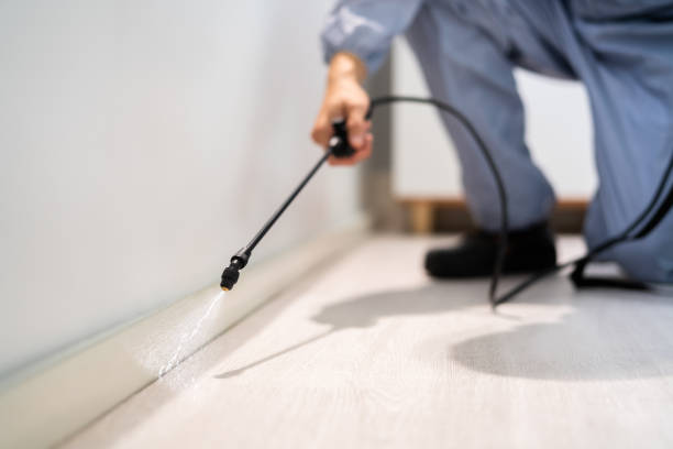 Bed Bug Pre-Treatment Preparation Assessment in Garner