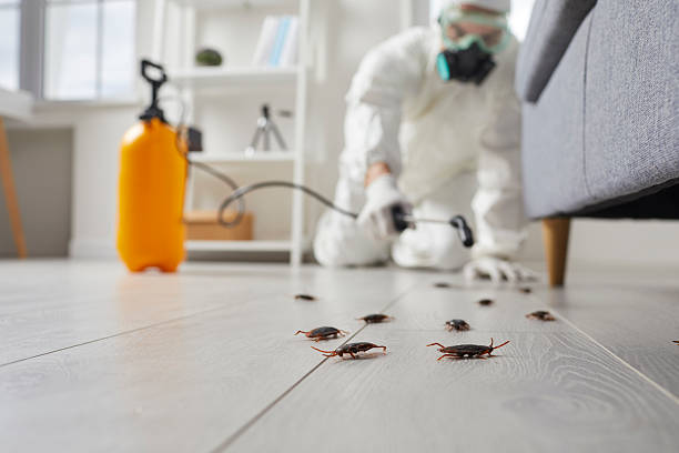Post-Treatment Bed Bug Interceptor Monitoring in Garner